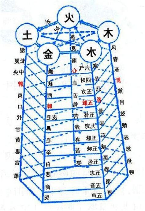 家 五行